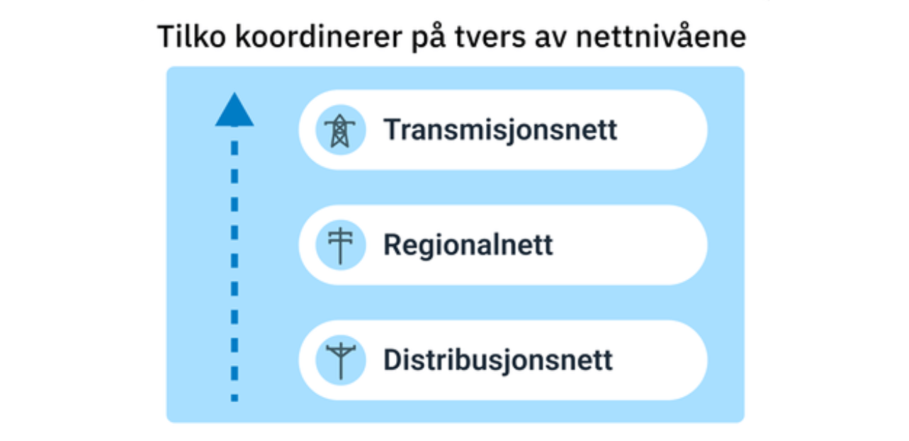 bildet viser en pil som viser koordineringer mellom nettselskaper, fra distribusjonsnett til regionalnett og transmisjonsnett. Illustrasjon